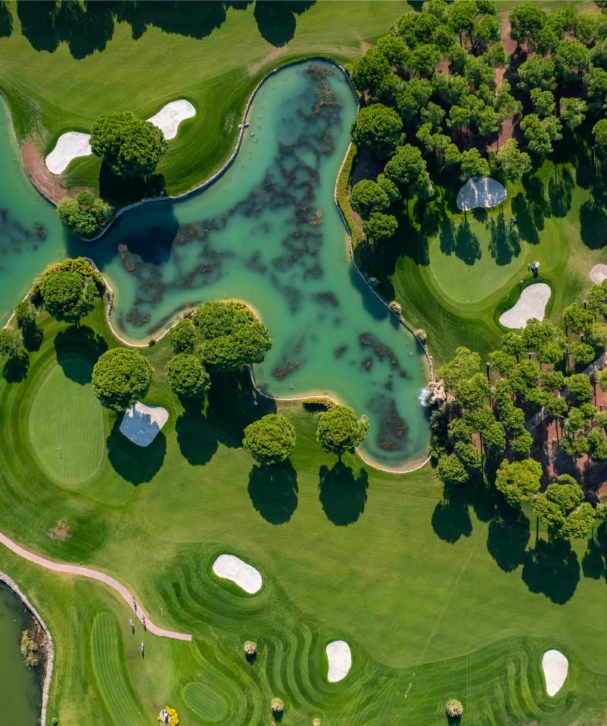 Golf Community Tampa Bay