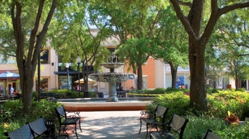 Hyde Park Historic district Tampa Bay