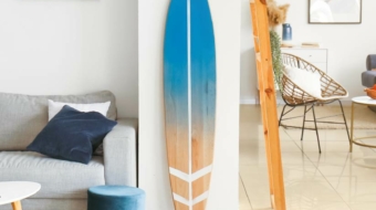 Tampa Bay Beach Life